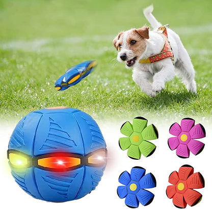 PawJoy™ Dog Frisbee