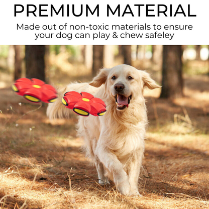 PawJoy™ Dog Frisbee