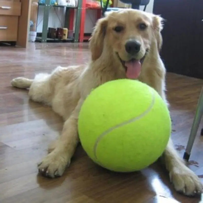 “Giant Fluffy Chew-Ball for Pooches: The Mega-Sized Toy for Your Pup’s Playtime and Your Kid’s New Best Friend!”